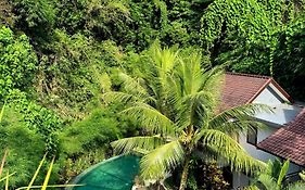 Jungle Haven Resort Central Ubud